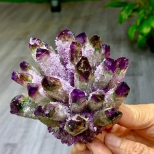465G Natural Crystal New Find purple PhantomQuartz Cluster Specimen picture