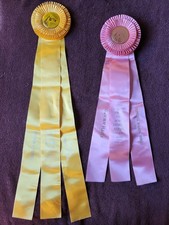 Tennessee Walking Horses Horse Show Ribbons Awards Equestrian Events 1967 & 1968 picture