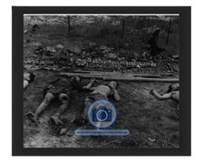 VIETNAM WAR VIETCONG KILLED 2ND BATTALION 11TH MARINES 8X10 FRAMED PHOTO picture