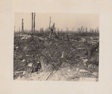 WW1 US AEF Official 1910s Verdun Battle Western Front Destruction Rare Photo picture