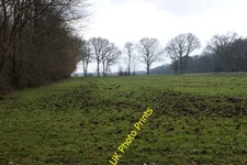 Photo A3 Pasture between Woodman's Wood and Lower Plantation Hogpits Bot c2013 picture