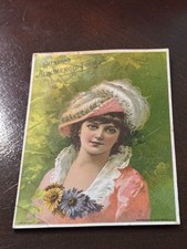 B-322 Victorian Trade Card Emerson's Albumenoid Food picture