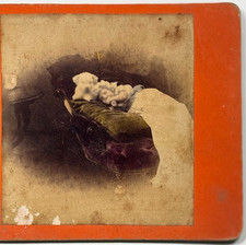 Hand-Colored Image of Young Girl Sleeping with Puppy Victorian Stereoview picture