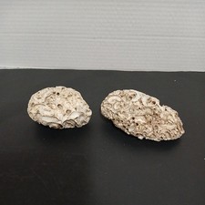 Natural White Coral Fossil Ocean Salt Water for Fish Tank or Collection picture
