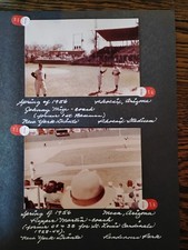 Pepper Martin Johnny Mize Etc 1956  Spring Training Baseball Type 1 Photos picture