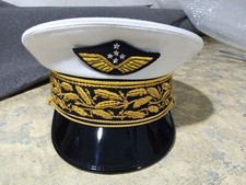 Chief of Staff of the Air Force general French cap picture