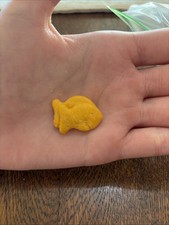 Extra Cheesy🧀 Goldfish With One Stuck To The Other One Like He’s Hiding ￼￼ picture