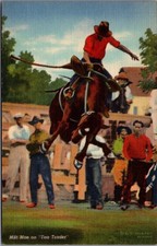 Milt Moe on Tea Trader Bucking Bronco Rodeo Cowboy Postcard Curteich picture