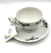 BLAINES MAINE ME Antique Souvenir China blueberry tea cup & saucer picture