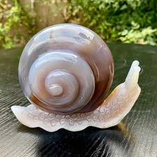 1.3LB Natural Purple Agate Geode Snail Carving Crystal Animal Statue Home picture