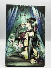 Vampirella #1 Mirka Andolfo Virgin Variant C Dynamite LTD 500/Free Shipping  picture
