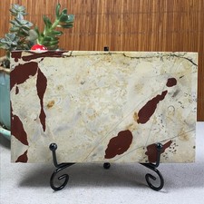 273g Natural Chinese painting stone crystal ornaments for home decoration A6443 picture