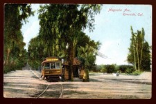 Trolley on Magnolia Avenue Riverside, California Divided Back Postcard 1907-1915 picture