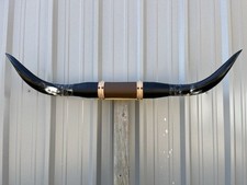 MOUNTED STEER HORNS 4 Feet 3 Inches LONGHORN POLISHED MOUNT BULL COW picture