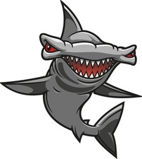 StickerTalk Hammerhead Shark Vinyl Sticker 4.5x5 inch Marine Decal picture