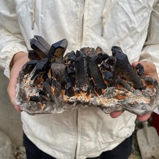 5.5lb Natural Smoky Black Quartz Crystal Cluster Raw Mineral Specimen healing picture