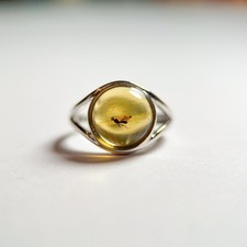 WASP in Amber Fossil Ring: Adjustable Sterling Silver, 99 Million Years Old picture