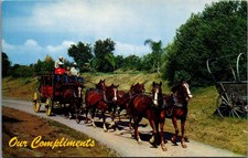 Knott's Berry Farm Stagecoach Postcard 1982 Buena Park CA Red Nickell Photo picture