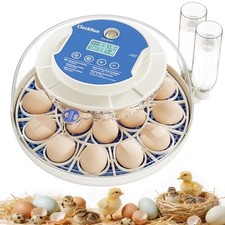 Egg Incubators for Hatching Eggs, 18 Chicken or 8 Large Eggs Incubator 18 Eggs picture